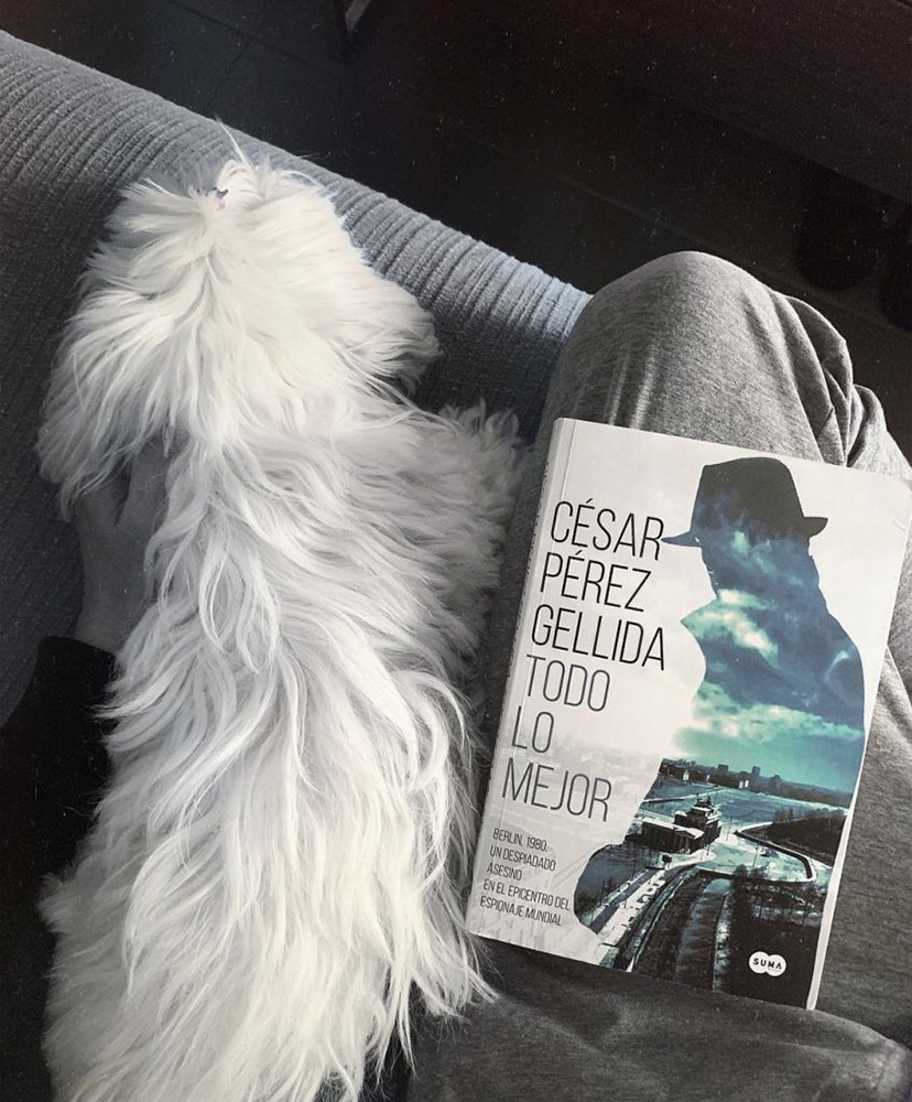 Reseña: Todo lo mejor. César Pérez Gellida
